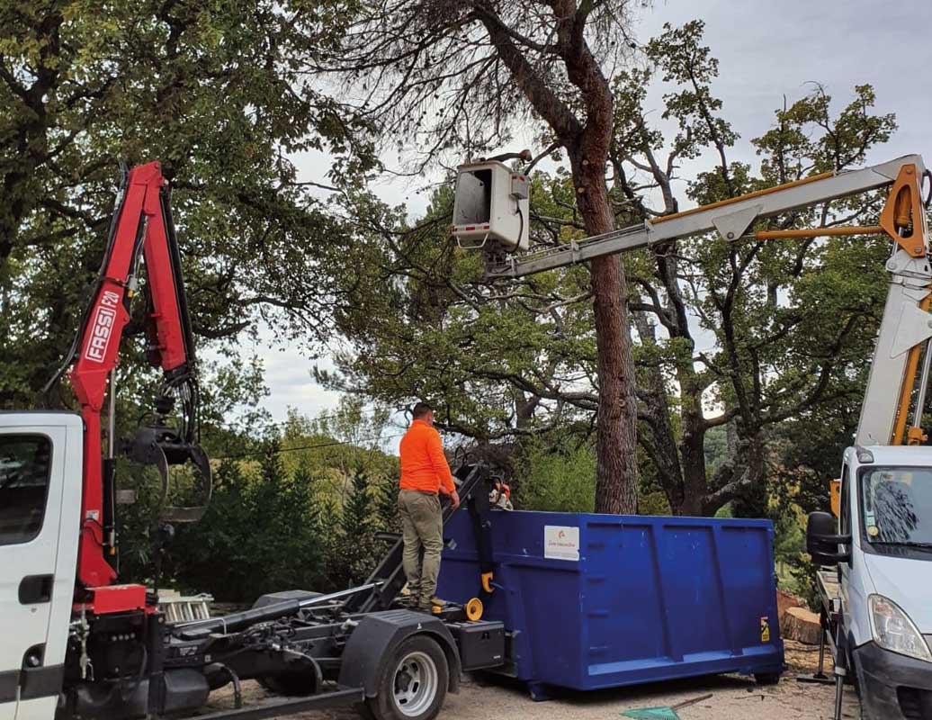 Équipe d'élagueurs professionnels Angelo Élagage en intervention dans le Vaucluse